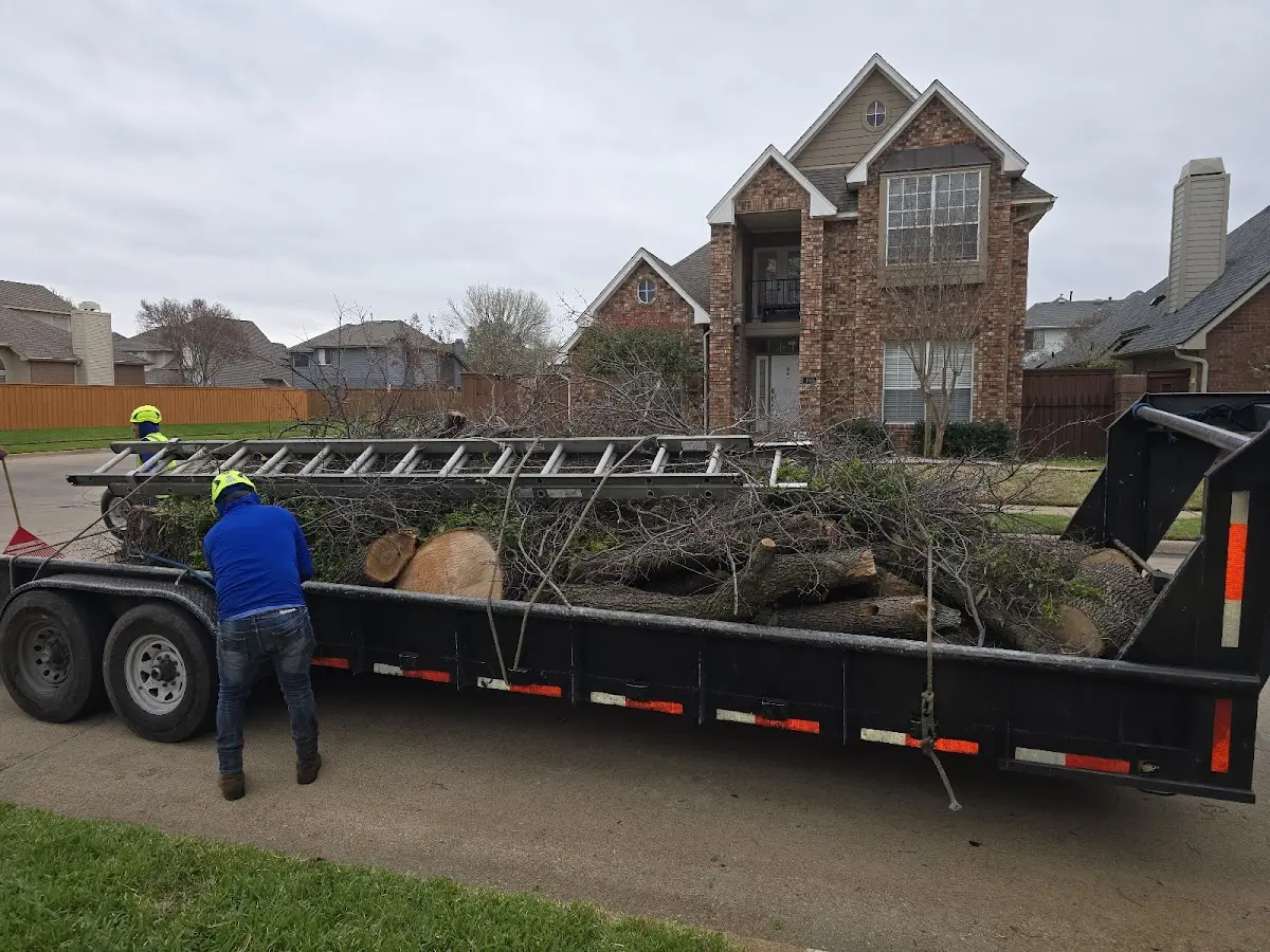 Expert Lot Clearing with proper safety equipment in Calhoun
